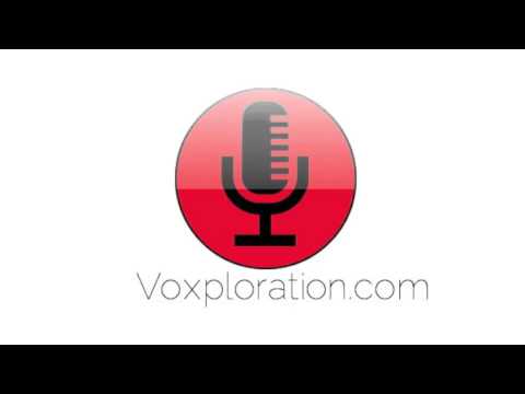 Voxploration Sample2