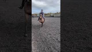 Hacking out tomo!