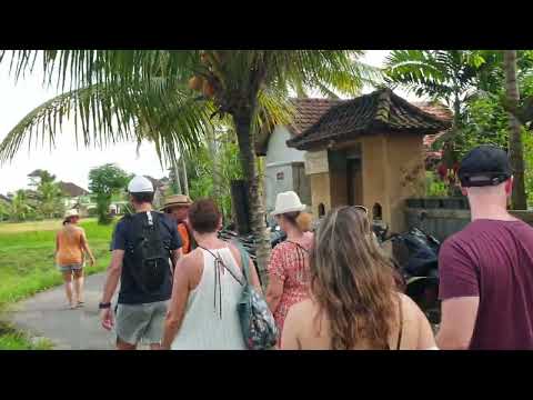 Jl. Subak Sok Wayah, Ubud