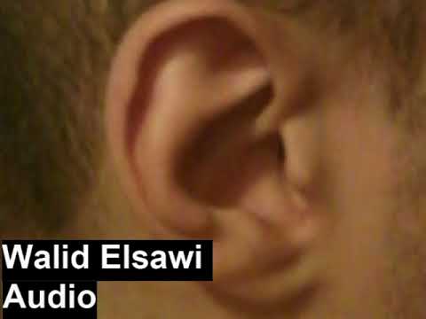 Audio no. 4, Walid Elsawi,  2012