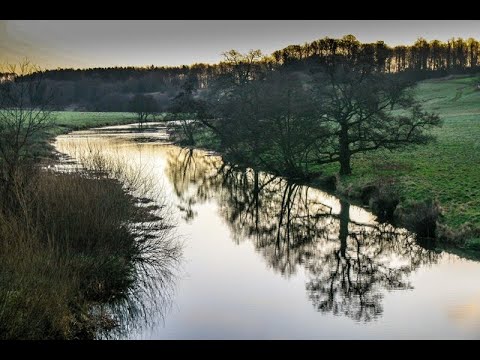 River Aln