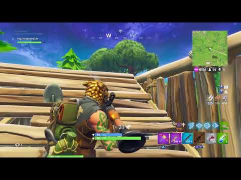 LLAMA VICTORY ROYALE