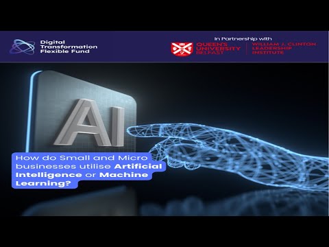 Webinar 4: How Do Small and Micro Businesses Utilise AI/Machine Learning?