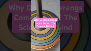 Why Do Boomerangs Come Back? | The Science Behind#Boomerangs #ScienceExplained #PhysicsInAction