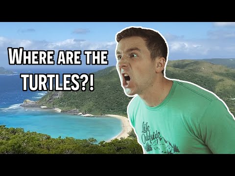 Searching for Japan's Most Majestic Sea Creature