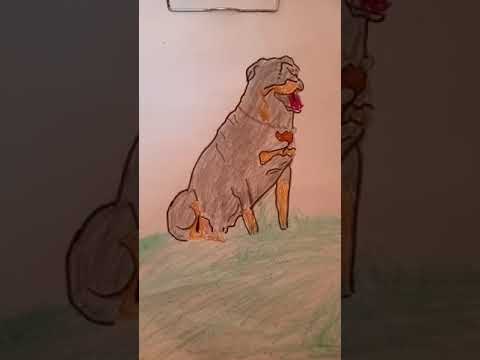 sit down Rottweiler drawing