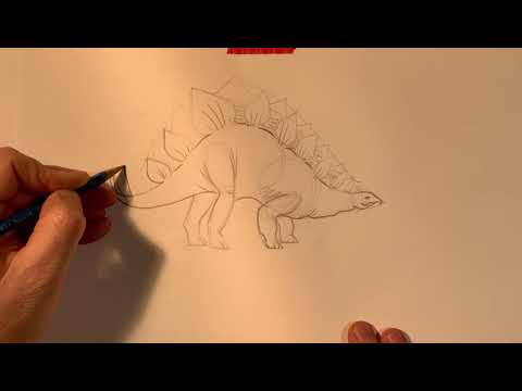 How to draw a Stegosaurus step by step drawing