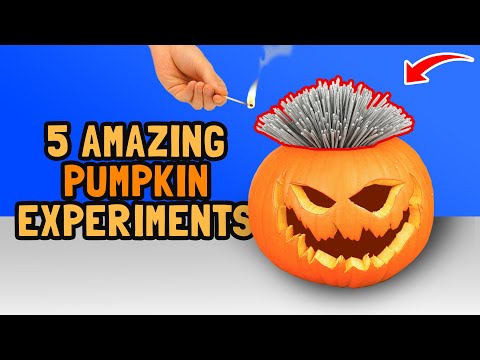 5 Awesome Pumpkin Experiments 🎃 Halloween Special 🎃