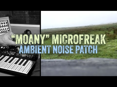 MicroFreak Mellow Noise Drone // Ambient Patch "Moany"