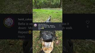 🐊🔥 Crocodile Reaction Catch! 💥🎶 | Stunning Views & Music Chat! 💬🎧📖  #short