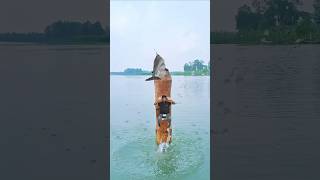 Creative idea videography with mobile 💡📱 #funny #creative #shortvideo