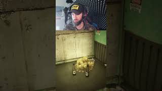 When you are casually looting and find a #developer #joke - #lol in #fallout