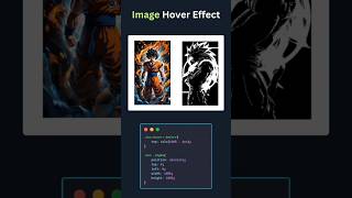 beautiful image Hover Effect #css #webdesign