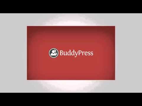 5 Best Forum Plugins for WordPress