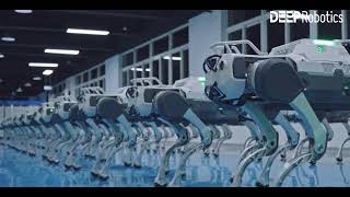 Deep Robotics Mass Production Of Robot Dogs