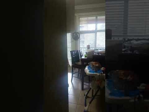 Dad Freaks out Son !!!