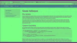 Documenting your project with MkDocs.