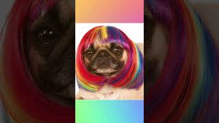 CSS | Rainbow clipping effect