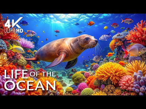 The Best 4K Aquarium – Vibrant Reef Fish 🐟 Serene Underwater World with Relaxing Sleep Sounds