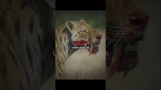 Prehistoric Animals From Your Country 💀 #prehistoric #extinctanimals