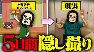 トモダチコレクションの出来事を現実にしてあげよう！【ゆっくり実況】