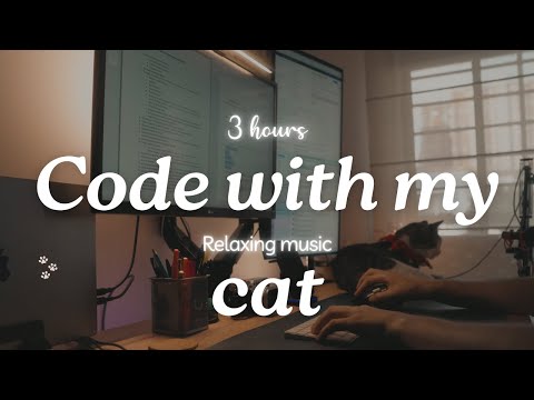 3 Hours - Code and Study With Me - Relaxing Music - Focus and Relaxing music
