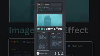 HTML, CSS, and JS