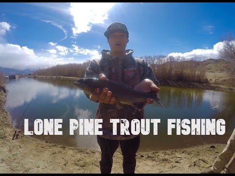 Trout Fishing in Lone Pine CA- Bacon Wrapped Trout