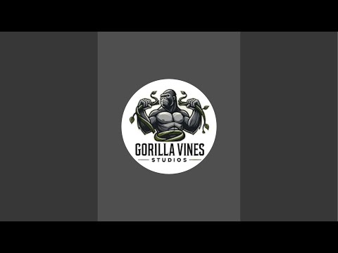 imran Ali at Gorilla Vines Studios @imranaliofficial109