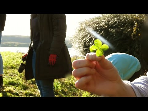Fife Connect - Lochore Meadows Project (November 2024)