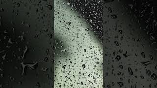 Relaxing Rain on Window for Sleep #rain #rainonwindow #rainsounds #rainoundforsleep #relax #asmr