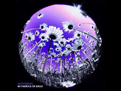 Mi Fabrica De Baile