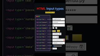 Html Input types 🖥️🖥️💎👾, #htmlinputtypes #html #youtubeshorts #coding #htmlshorts #frontenddev
