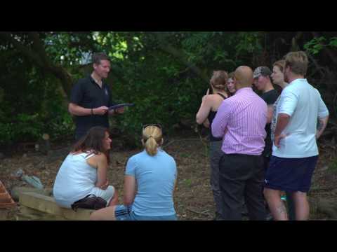 Wild Woozy Team Building Hub