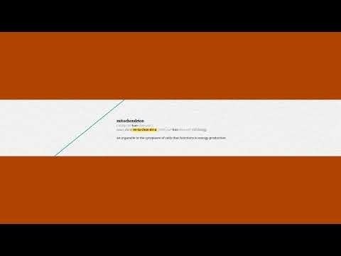 Dyslexic Mitochondria Live Stream