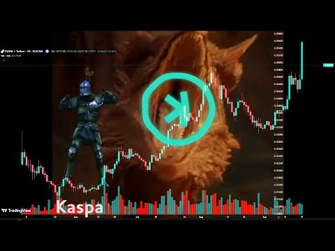 Can't Keep Kaspa Down !!!
