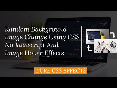 Image Hover, Animation with Cool effect Using CSS, HTML And Random Background Image Change