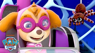 PAW Patrol Skye Rescues a TOOTH FAIRY & Collects Coins! 🦷 w/ Ryder | Shimmer and Shine