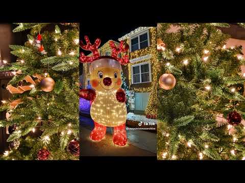 holiday tik Toks 2024