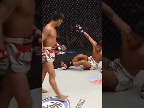 Muai Thai Kicks