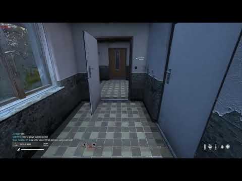 DAyz trumps wall servers