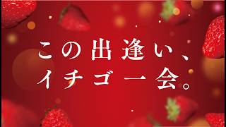 【制作実例】モーショングラフィックス