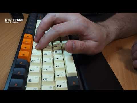Plate test4 (temp video)