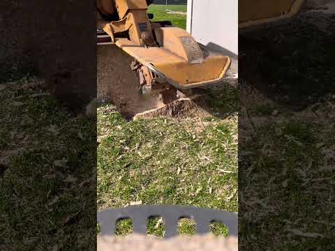 The best way to remove a stump