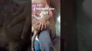 Navratri day 4/9 vlog #dailyvlog #stitching #navratrispecial #daliyroutine #daywithme