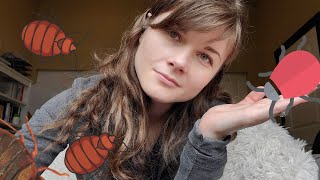 Why are there software bugs? 🦟🦟🦟