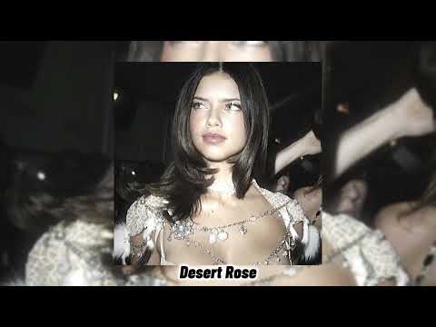 Desert rose | sped up