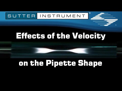 Effects of the Velocity on the Pipette Shape