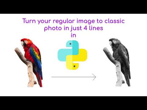 Turn your Color images to classic gray-scale images in just 4 lines of code in python | The fun way
