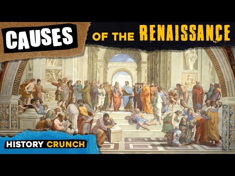 Causes of the Renaissance - Video Infographic